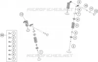 VALVULA