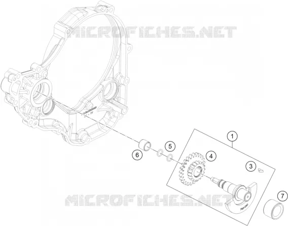 BALANCEIRO